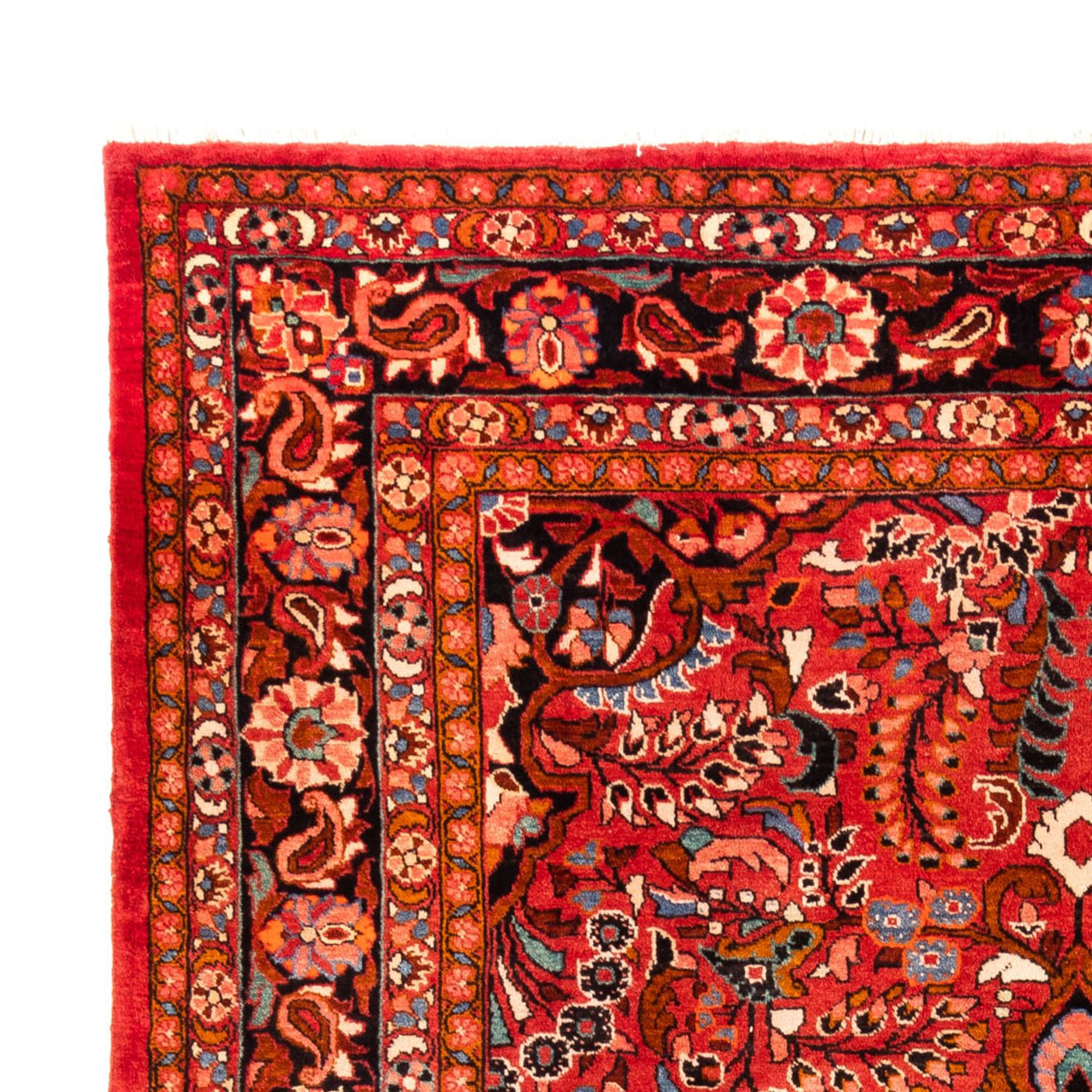 Lilian Tapis 340x227cm - Tapis persan