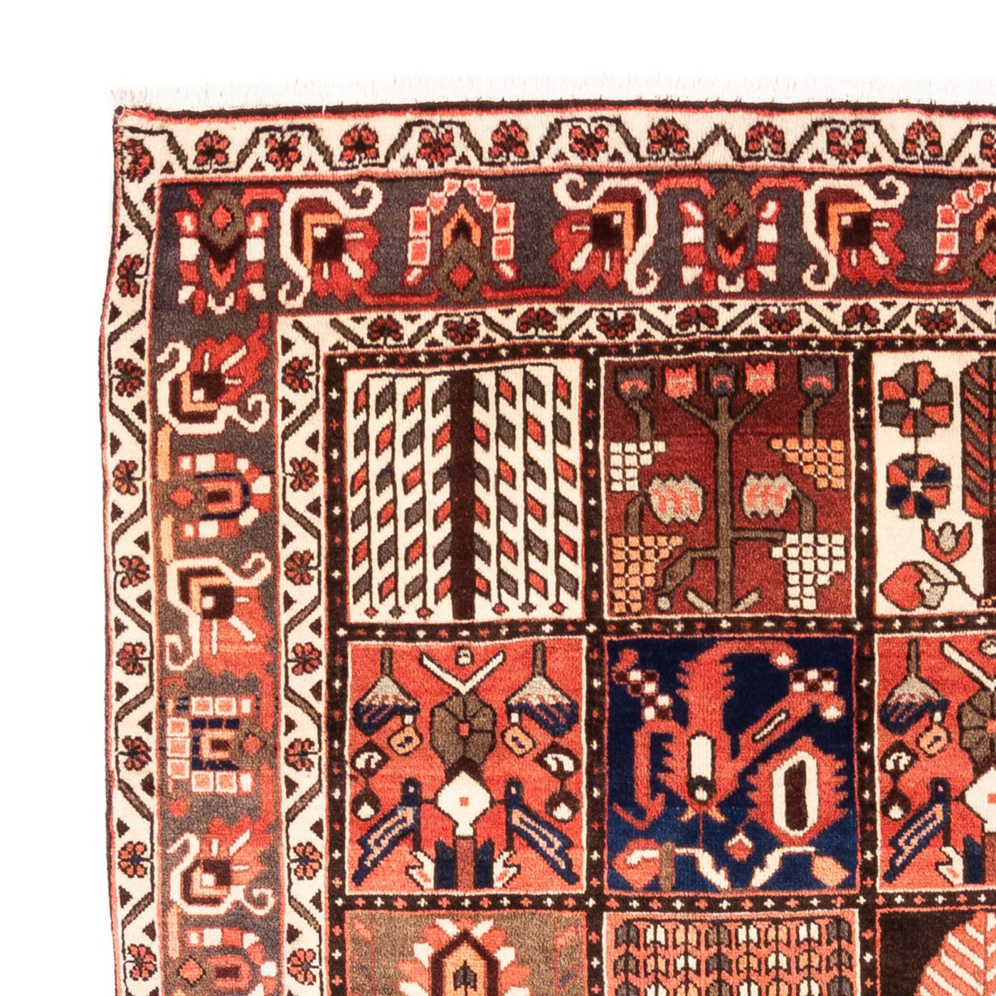 Tapis Bakhtiari Tapis 304x198cm - Tapis persan