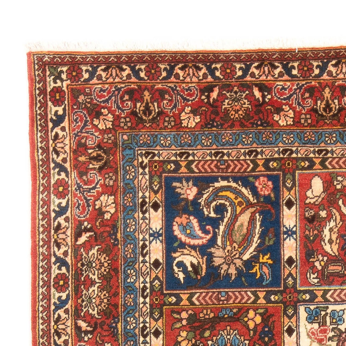 Tapis Bakhtiari Tapis 198x135cm - Tapis persan