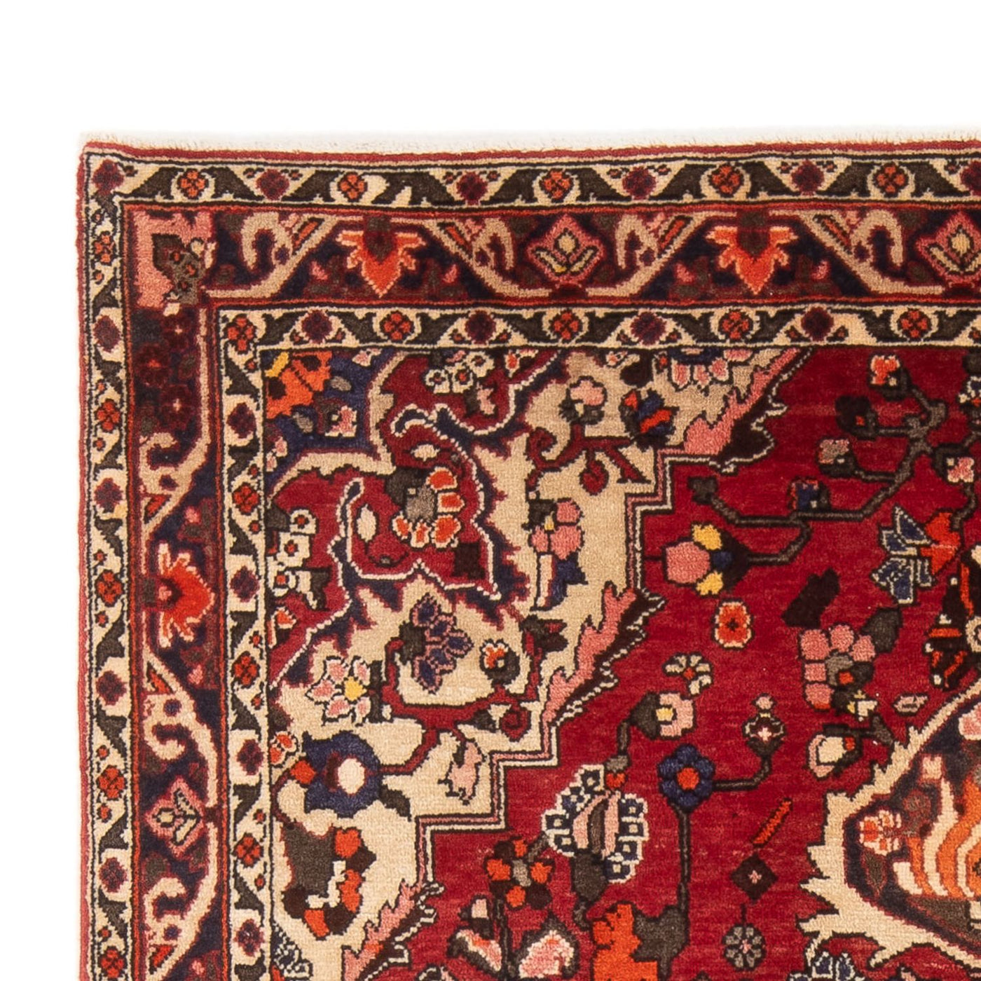 Tapis Bakhtiari Tapis 208x137cm - Tapis persan