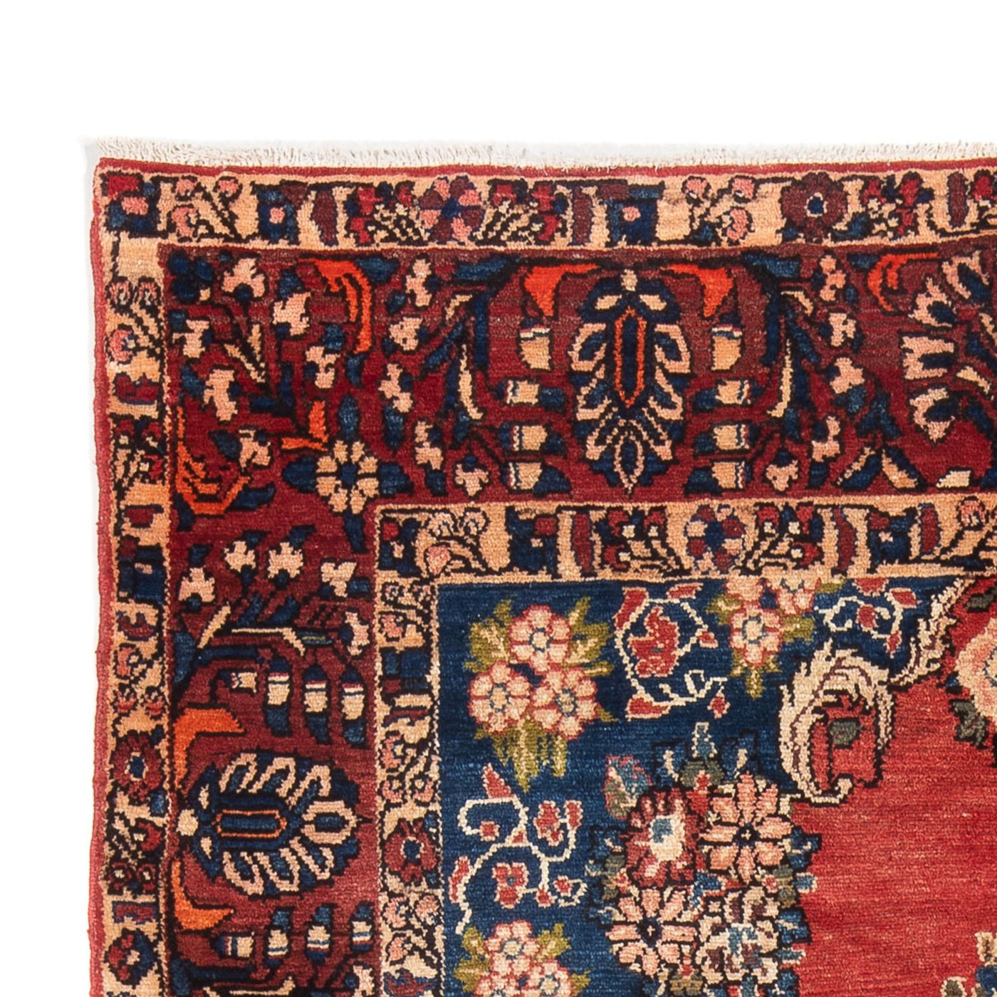 Tapis Bakhtiari Tapis 250x160cm - Tapis persan