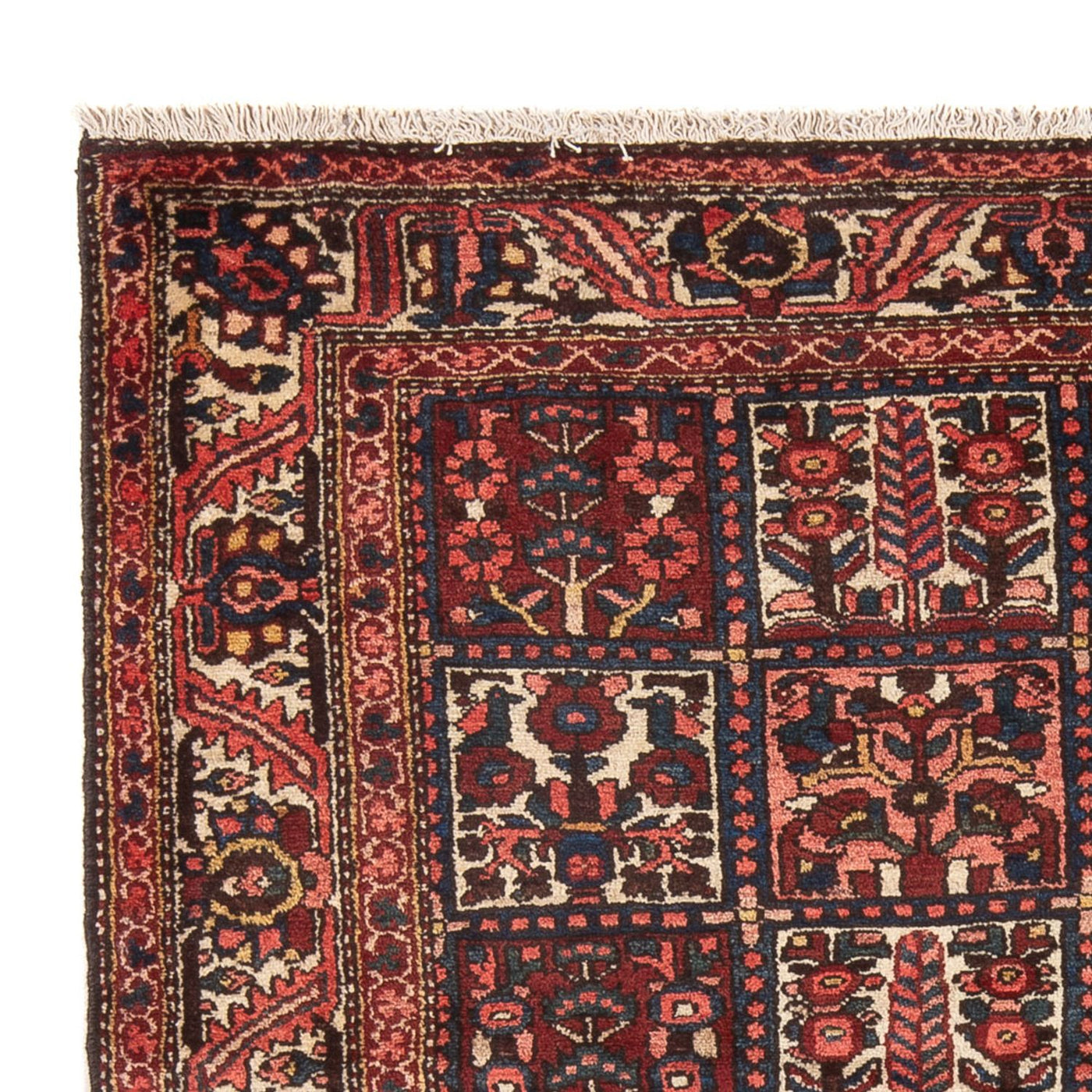 Tapis Bakhtiari Tapis 202x157cm - Tapis persan