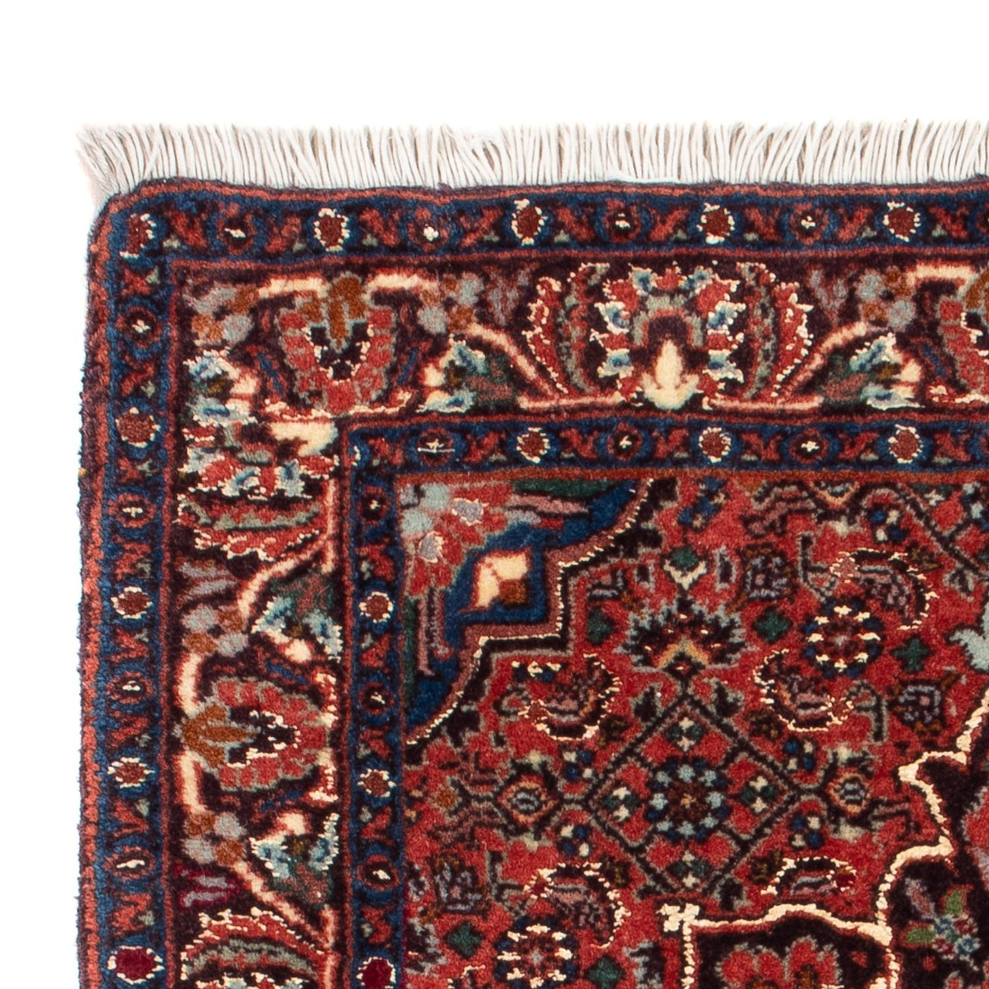 Bidjar - Takab Tapis 60x50cm - Tapis persan