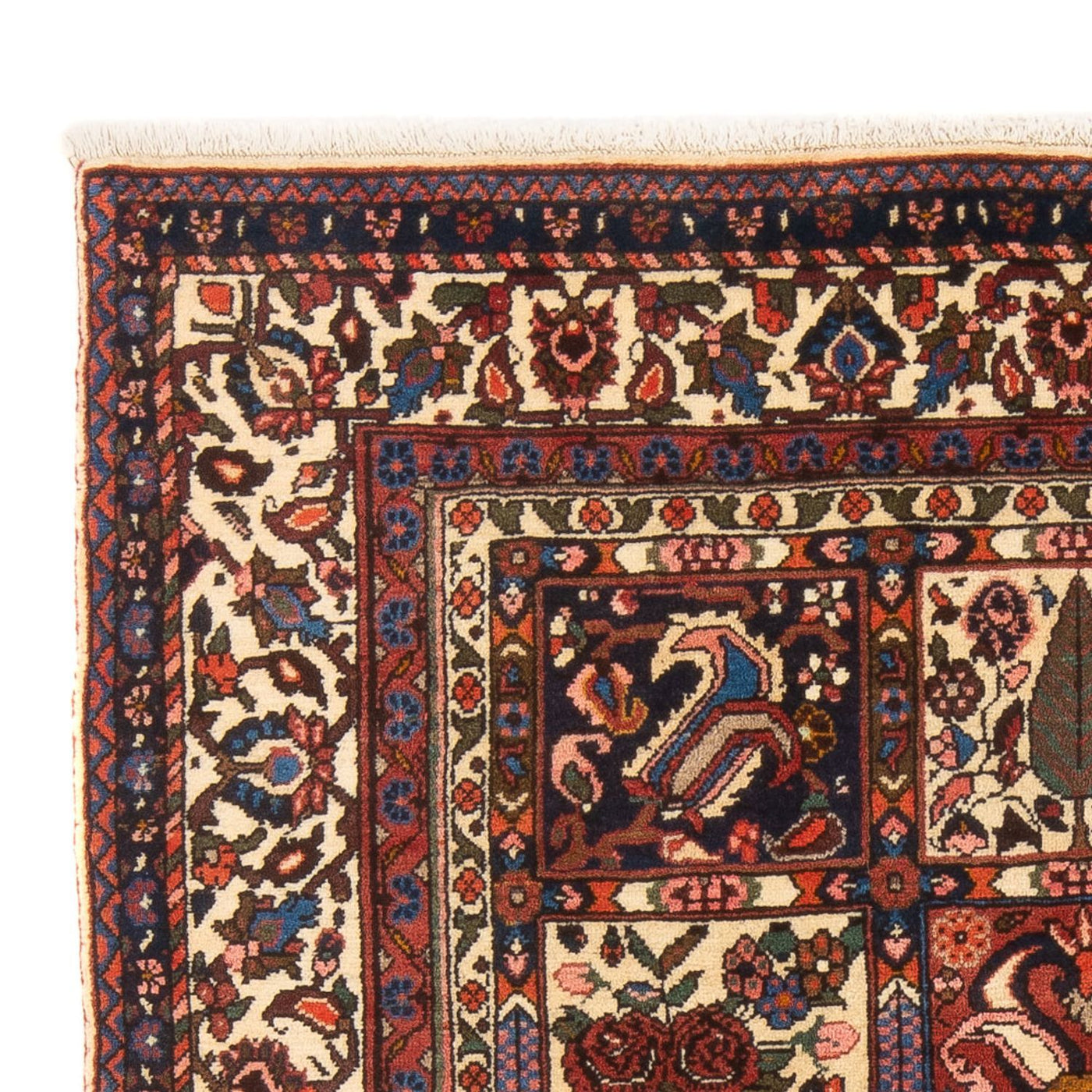 Tapis Bakhtiari Tapis 200x138cm - Tapis persan