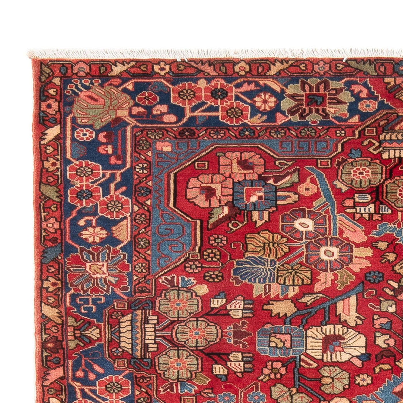 Tapis de Sarouk Tapis 242x158cm - Tapis persan