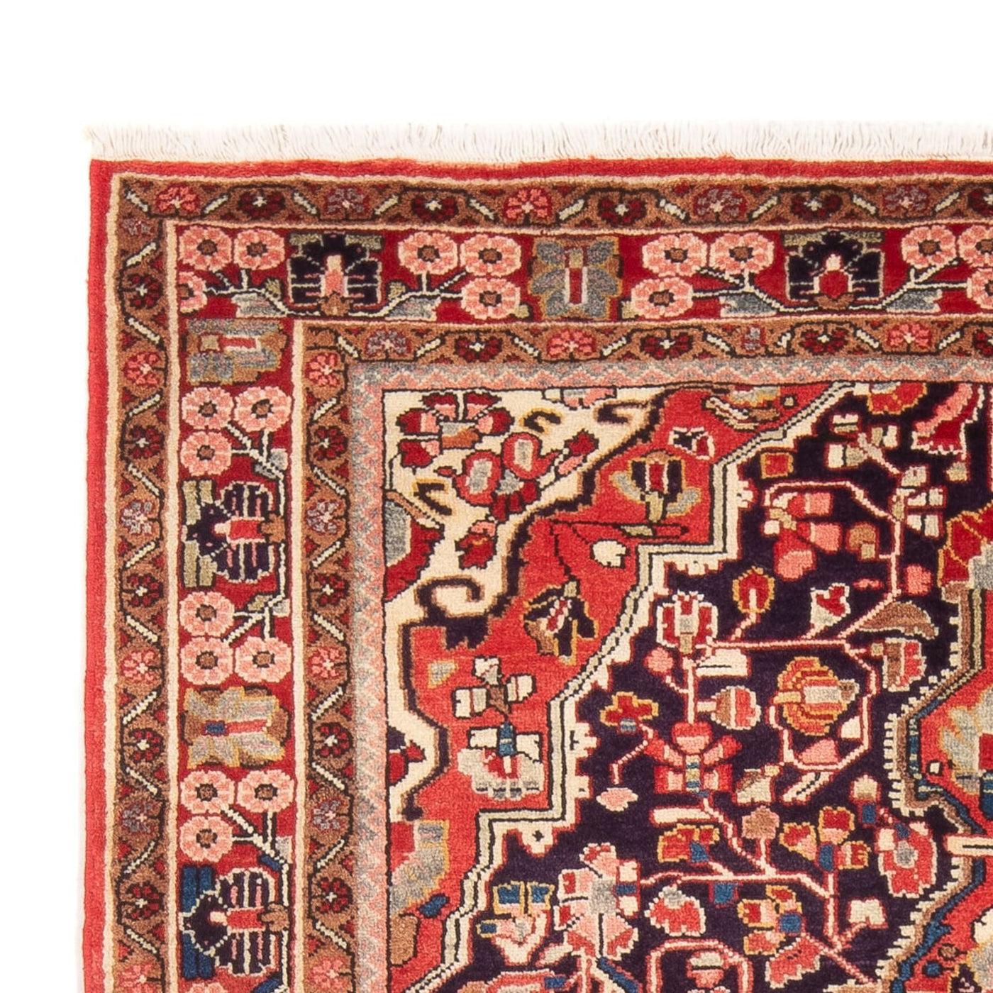 Kolyai Tapis 210x132cm - Tapis persan