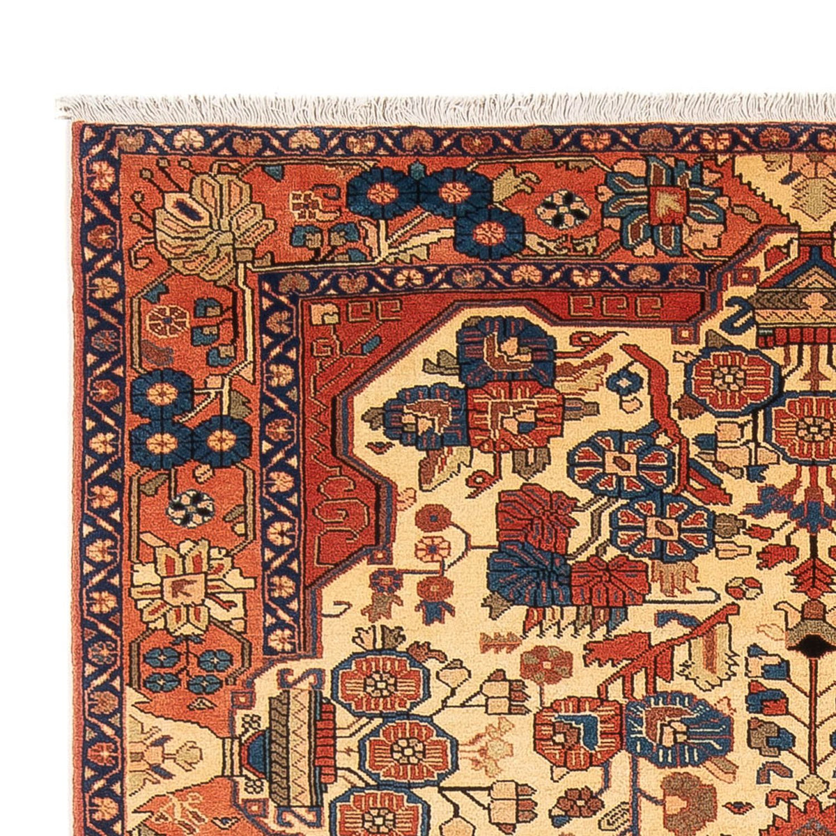 Tapis de Nahavand Tapis 160x238cm - Tapis persan