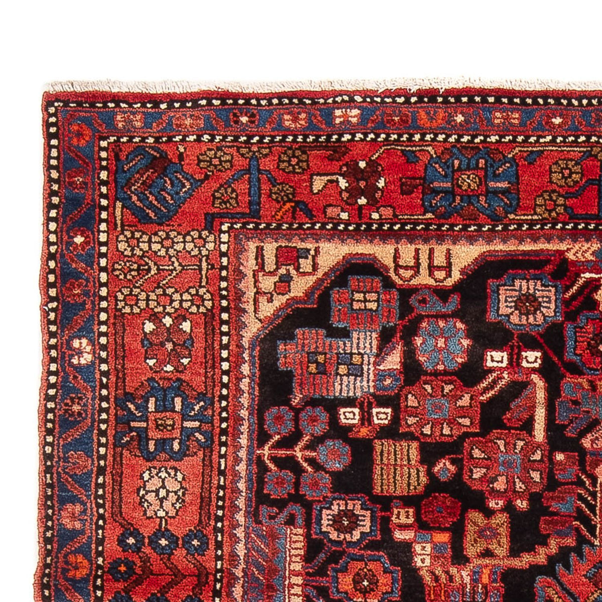 Tapis de Nahavand Tapis 157x220cm - Tapis persan