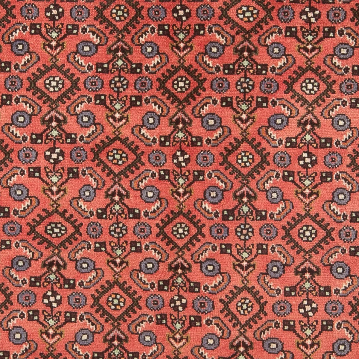 Tapis persan - Nomadic - 196 x 144 cm - rouge