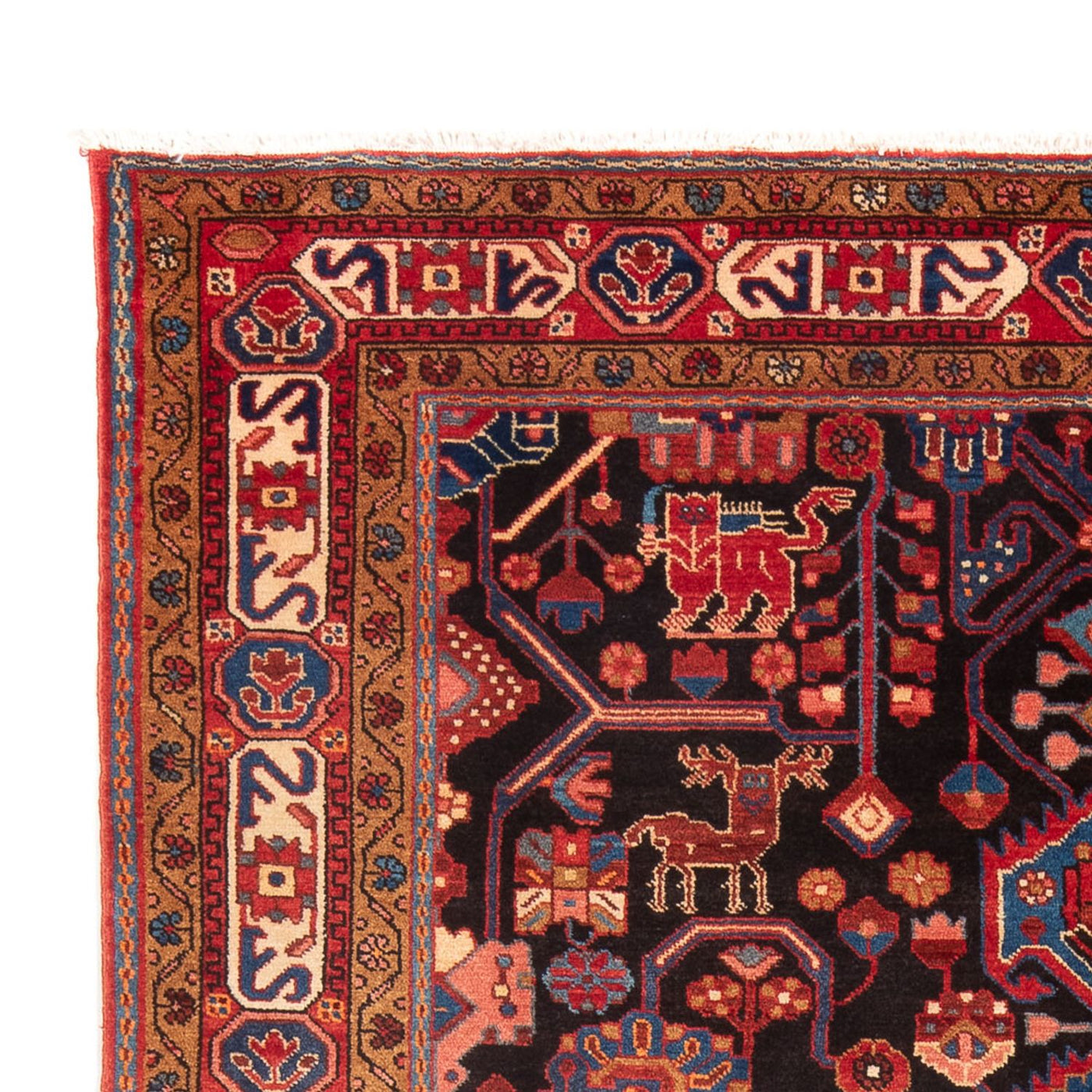 Tapis de Hamadan Tapis 273x153cm - Tapis persan