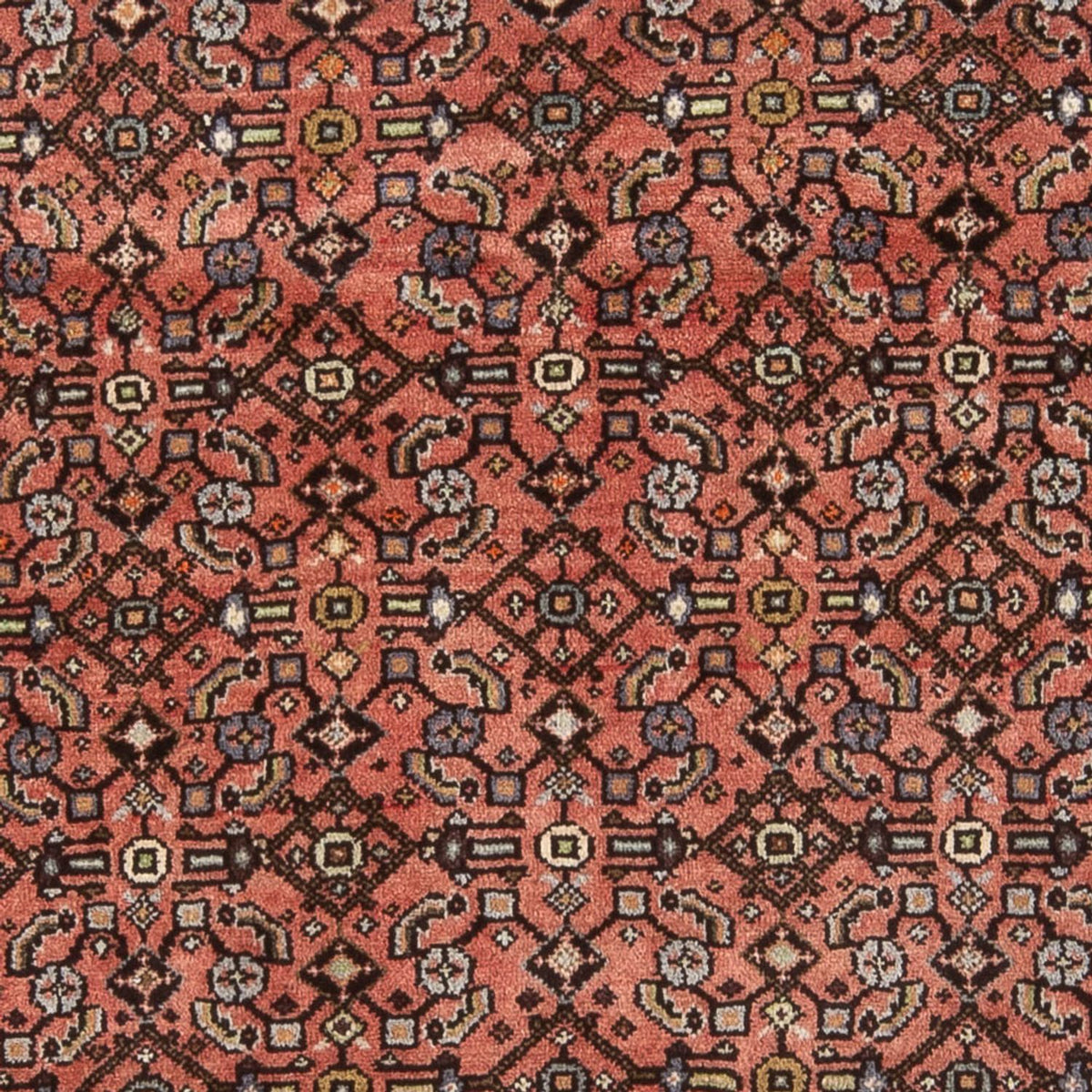 Tapis persan - Nomadic - 200 x 150 cm - rouge