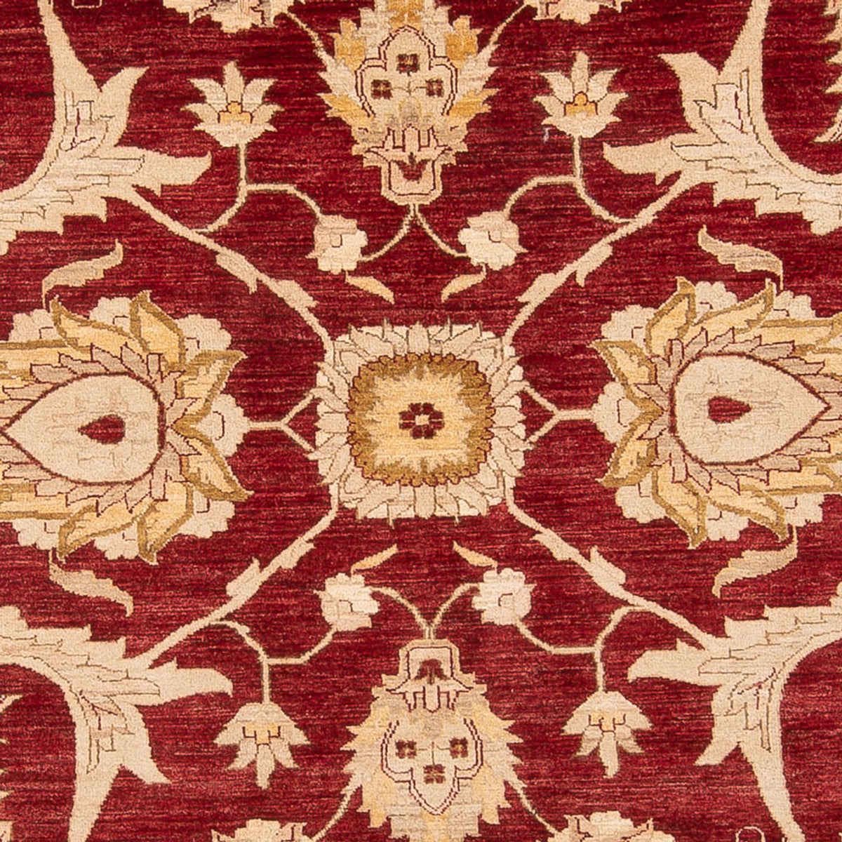 Tapis Ziegler - 371 x 298 cm - rouge