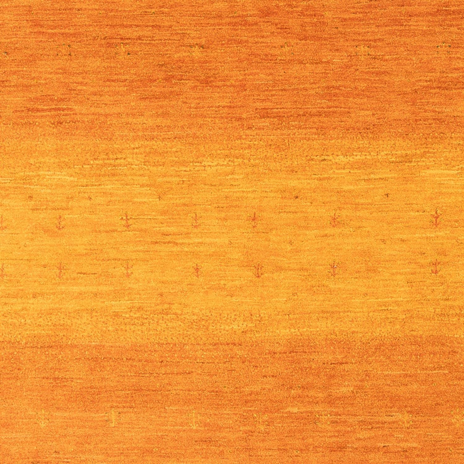 Tapis Gabbeh - Loribaft Persan - 251 x 172 cm - orange