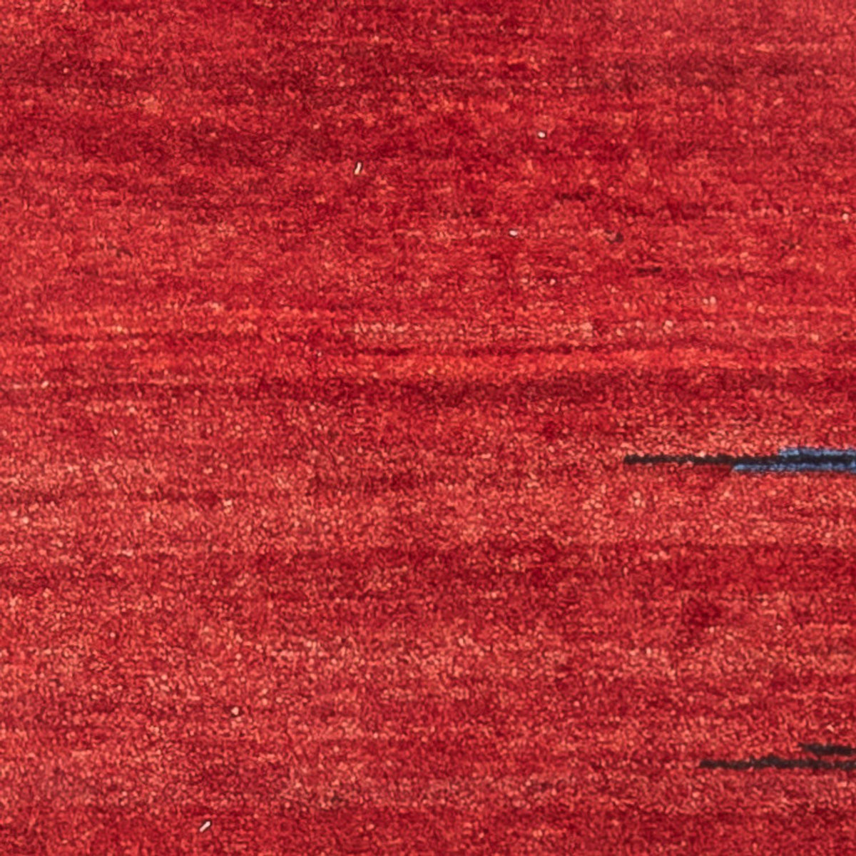 Tapis de couloir Tapis Gabbeh - Persan - 220 x 70 cm - multicolore