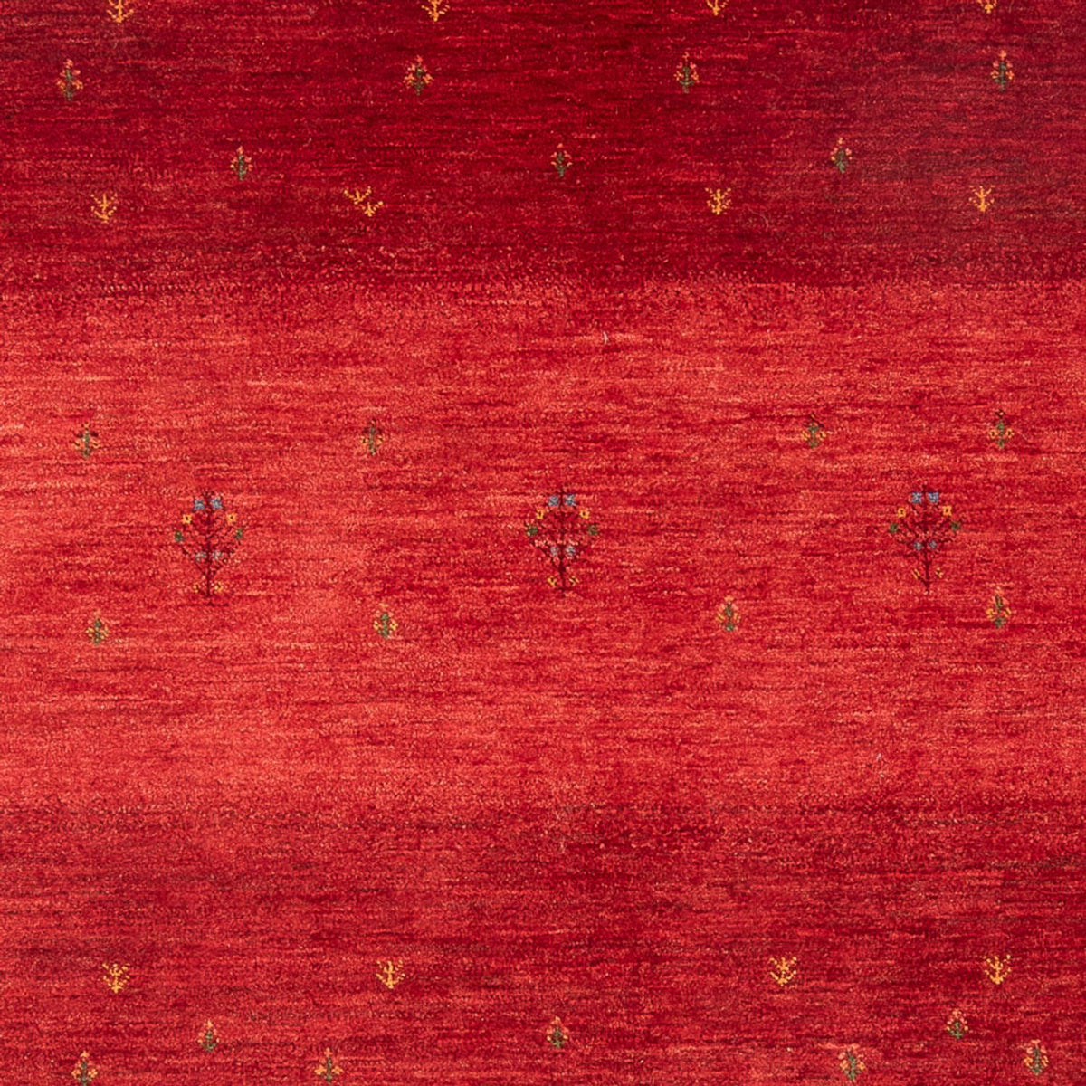 Tapis Gabbeh - Loribaft Persan - 257 x 173 cm - rouge