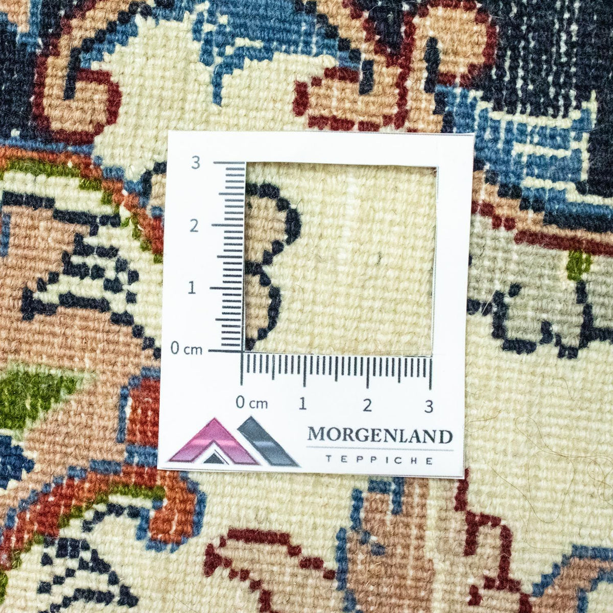 Tapis de couloir Tapis persan - Classique - 310 x 68 cm - beige