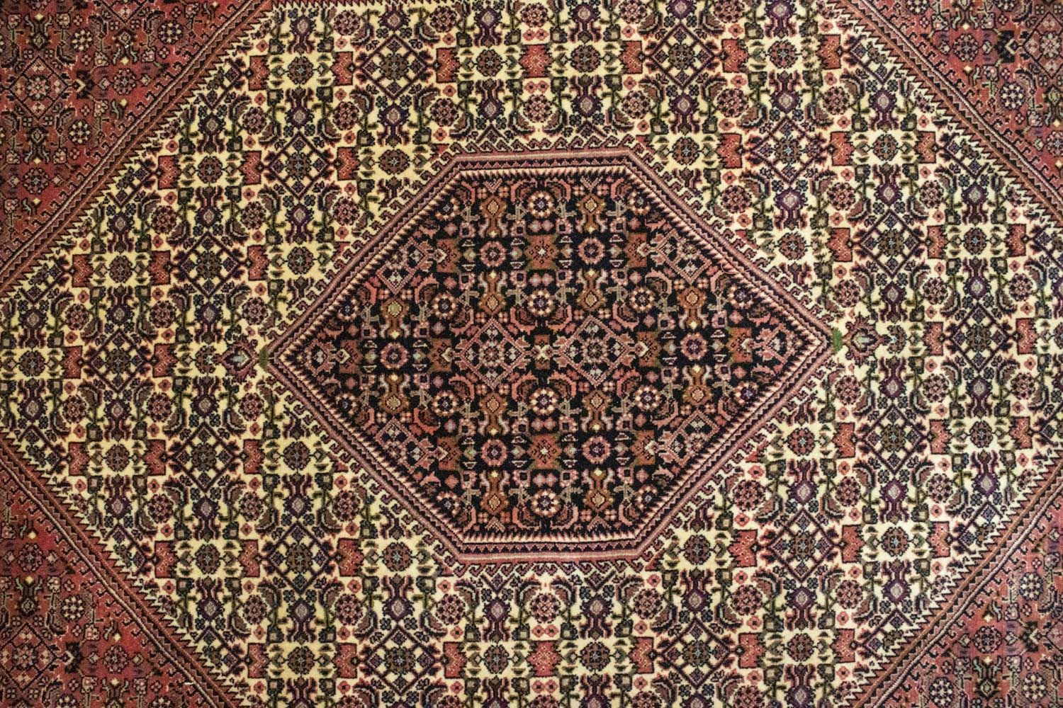 Tapis persan - Bidjar - 310 x 207 cm - rouge