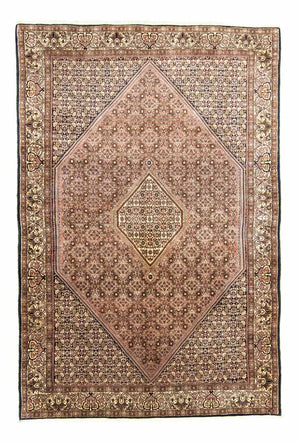 Tapis persan - Bidjar - 304 x 203 cm - rouge