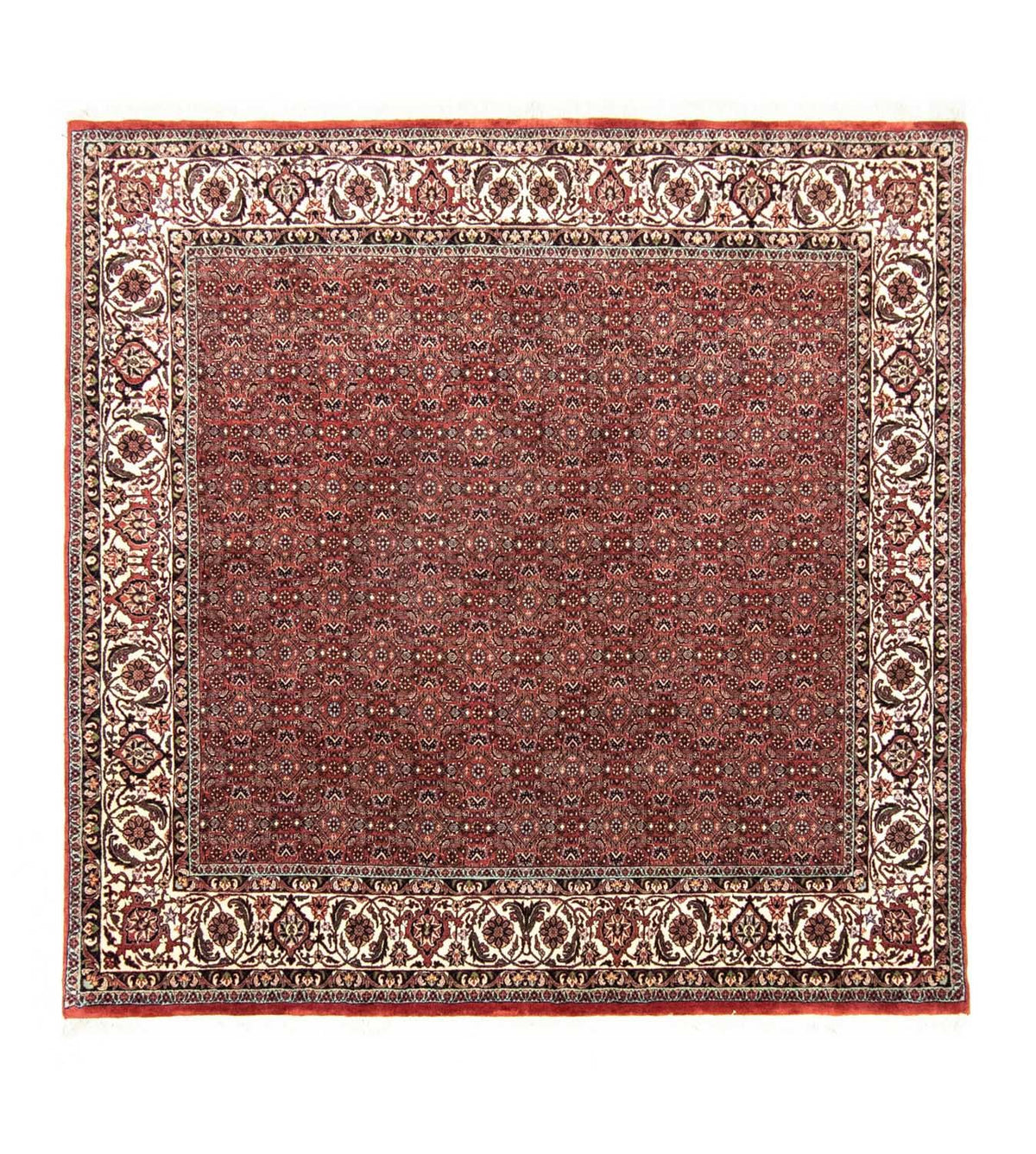 Tapis persan - Bidjar carré  - 203 x 201 cm - rouge