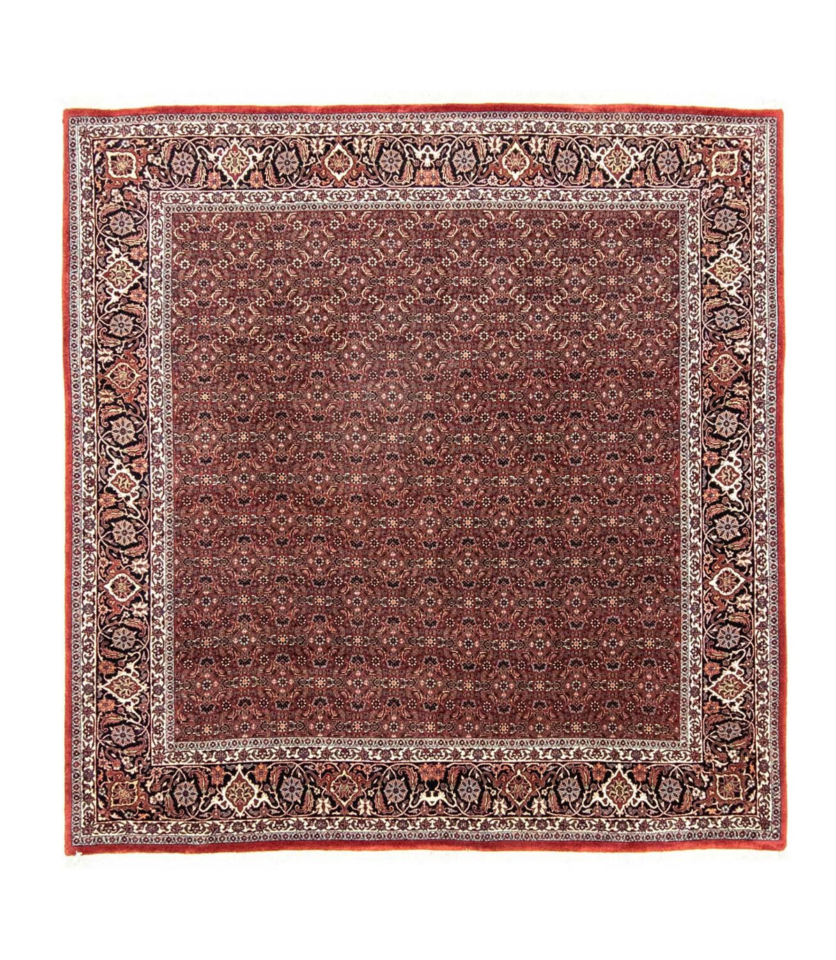 Tapis persan - Bidjar carré  - 210 x 210 cm - rouge