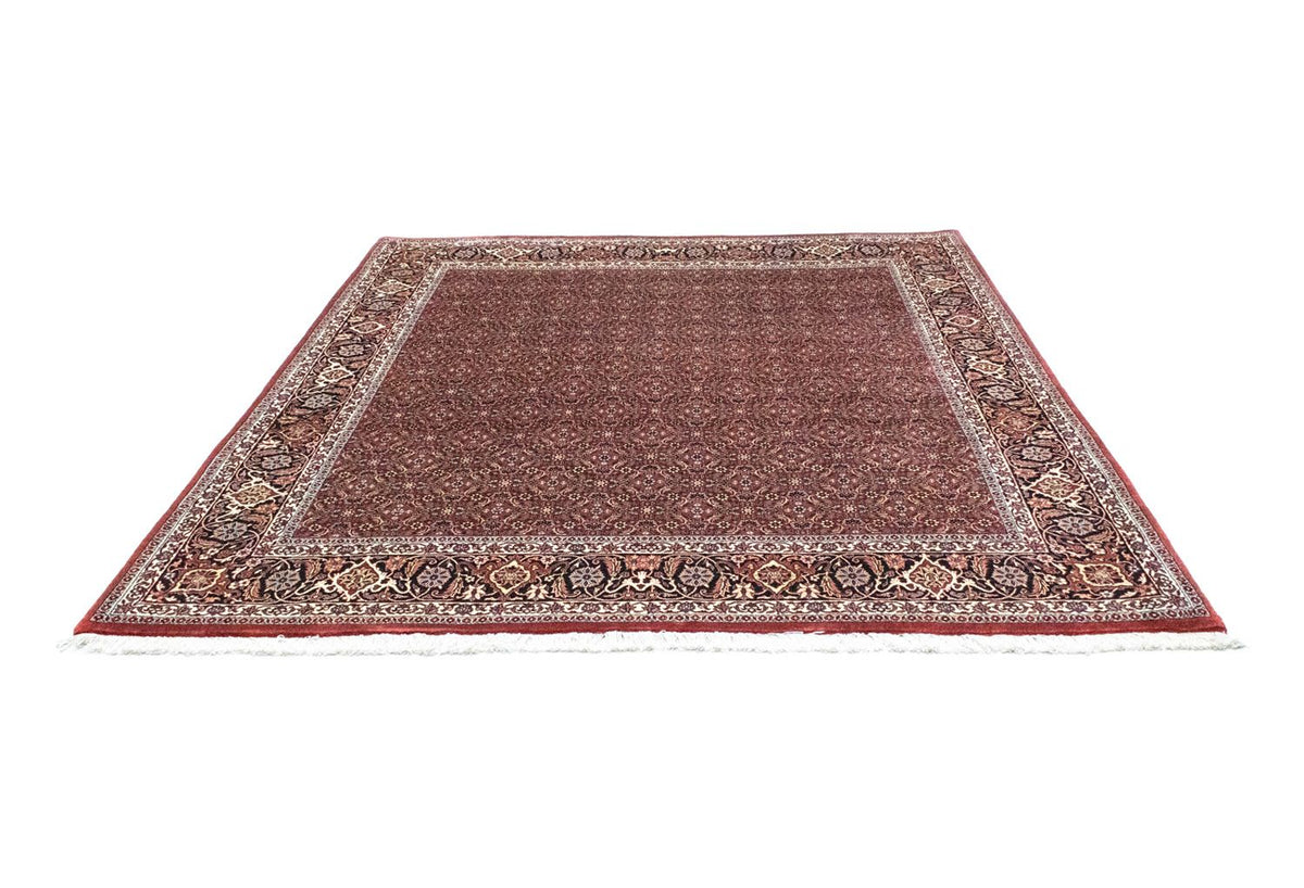 Tapis persan - Bidjar carré  - 210 x 210 cm - rouge