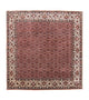 Tapis persan - Bidjar carré  - 210 x 203 cm - rouge