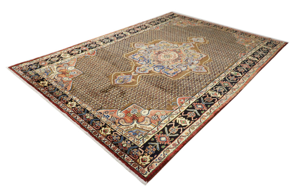 Kolyai Tapis 305x203cm - Tapis persan