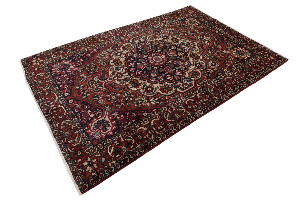 Tapis Bakhtiari Tapis 205x310cm - Tapis persan