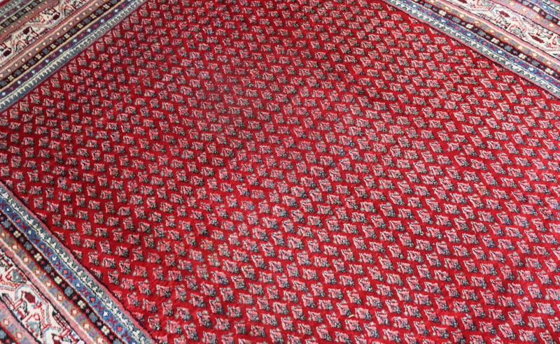 Tapis persan - Classique - 317 x 220 cm - rouge