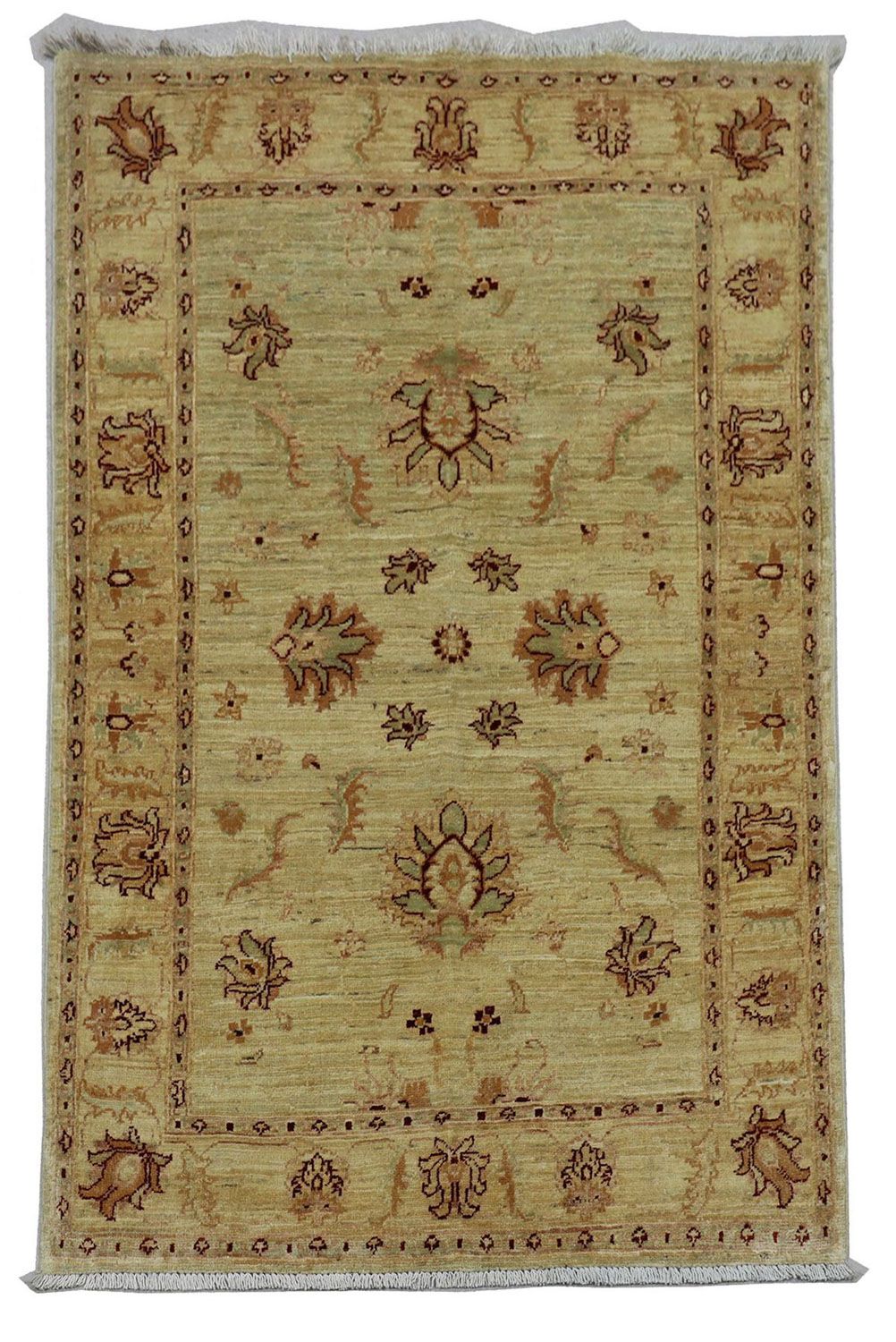 Tapis Ziegler - 147 x 99 cm - vert olive