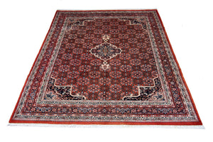 Tapis persan - Bidjar - 313 x 250 cm - rouge