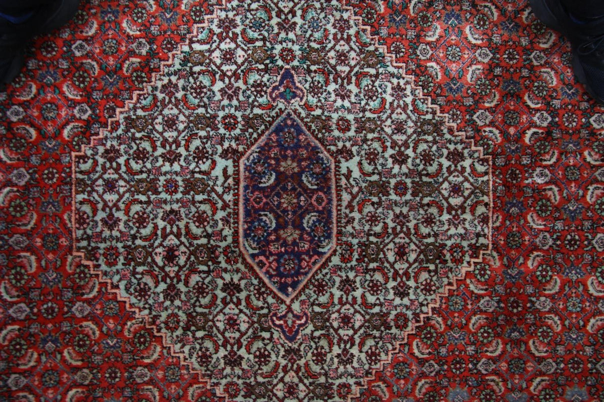 Tapis persan - Bidjar - 335 x 245 cm - marron