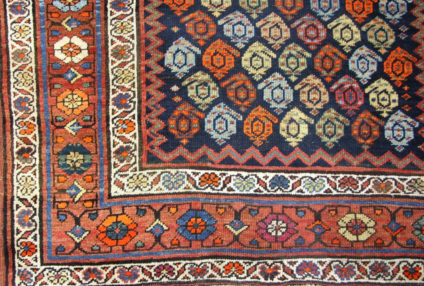 Shirvan Tapis 440x113cm - Tapis oriental
