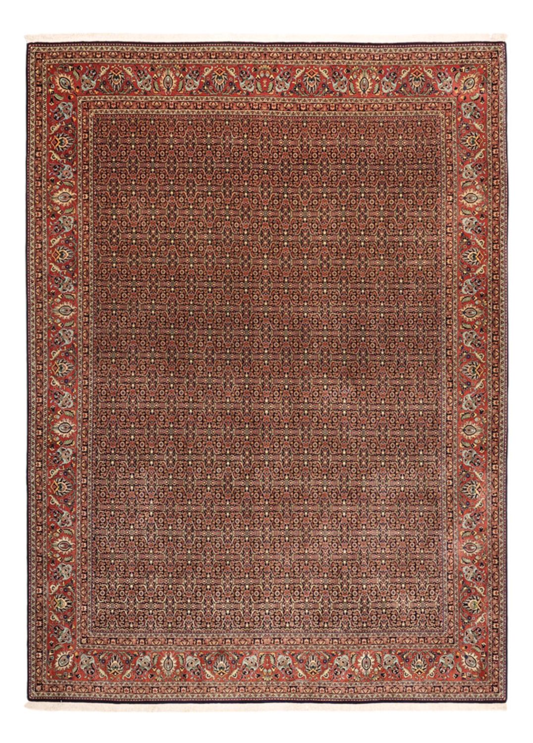 Tapis persan - Bidjar - Royal - 342 x 252 cm - terracotta