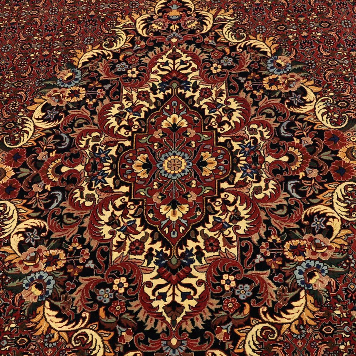 Tapis persan - Bidjar - Royal - 304 x 254 cm - terracotta