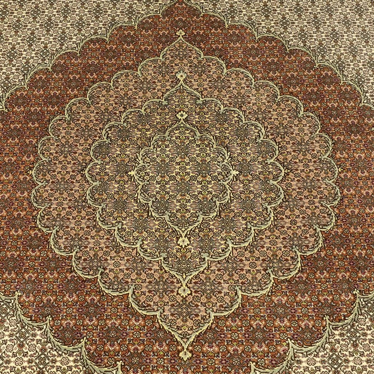 Tapis persan - Tabriz - Royal - Royal - 336 x 252 cm - taupe