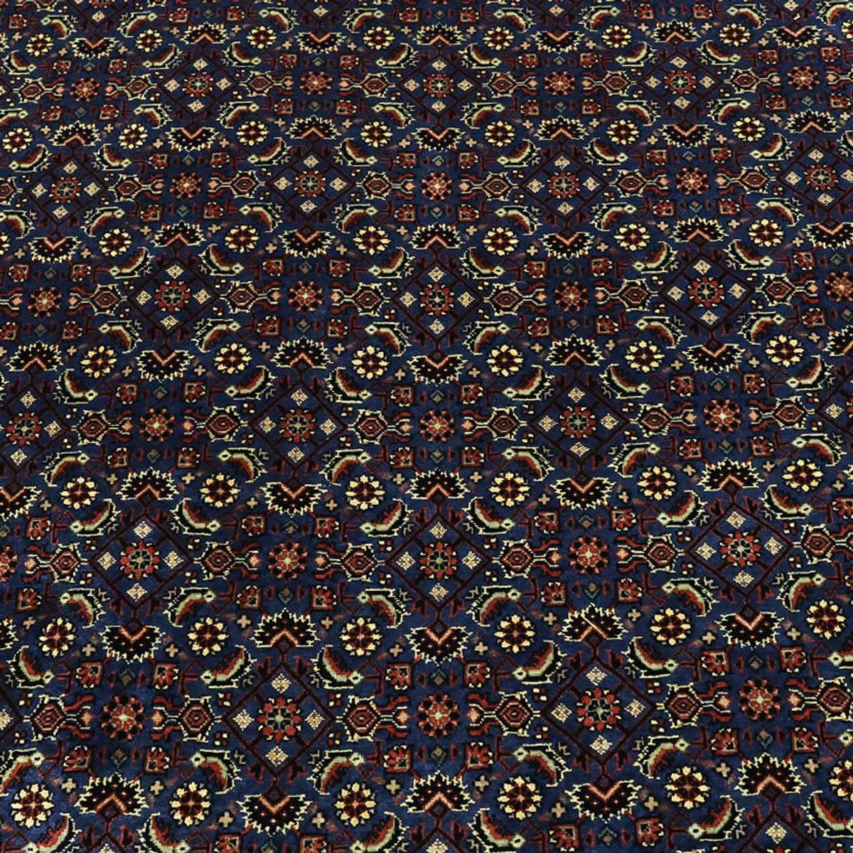 Tapis persan - Bidjar - Royal - 319 x 256 cm - bleu foncé
