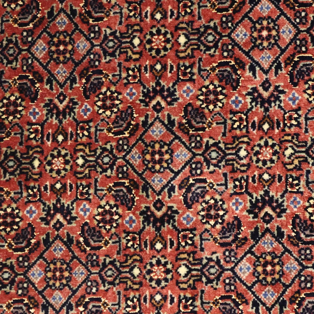 Tapis persan - Bidjar - 148 x 90 cm - rouille