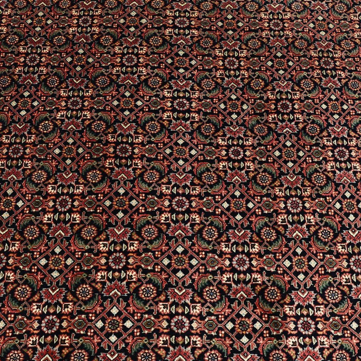 Tapis persan - Bidjar - 337 x 255 cm - bleu foncé