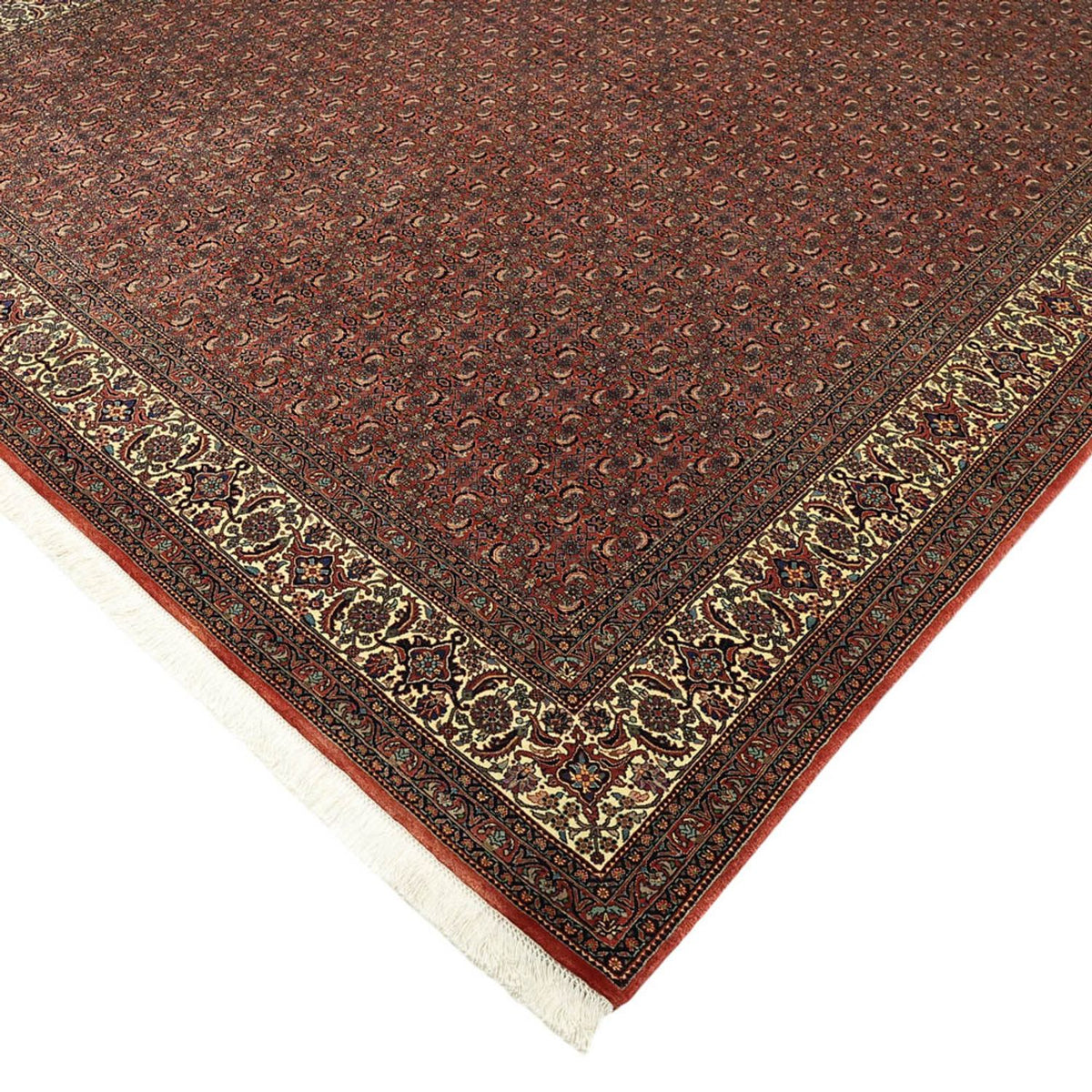 Tapis persan - Bidjar - Royal - 350 x 256 cm - rouge foncé