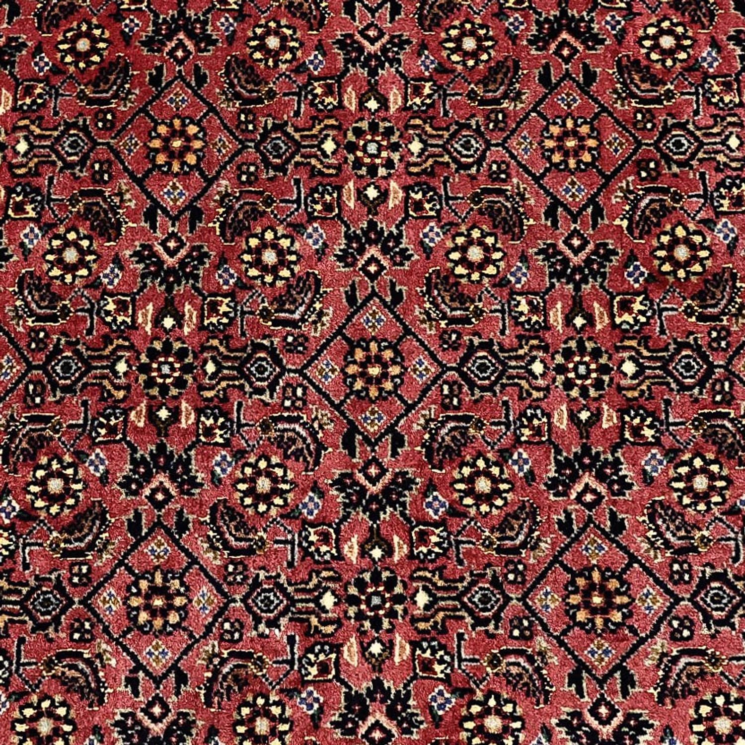 Tapis persan - Bidjar - Royal - 204 x 152 cm - beige foncé