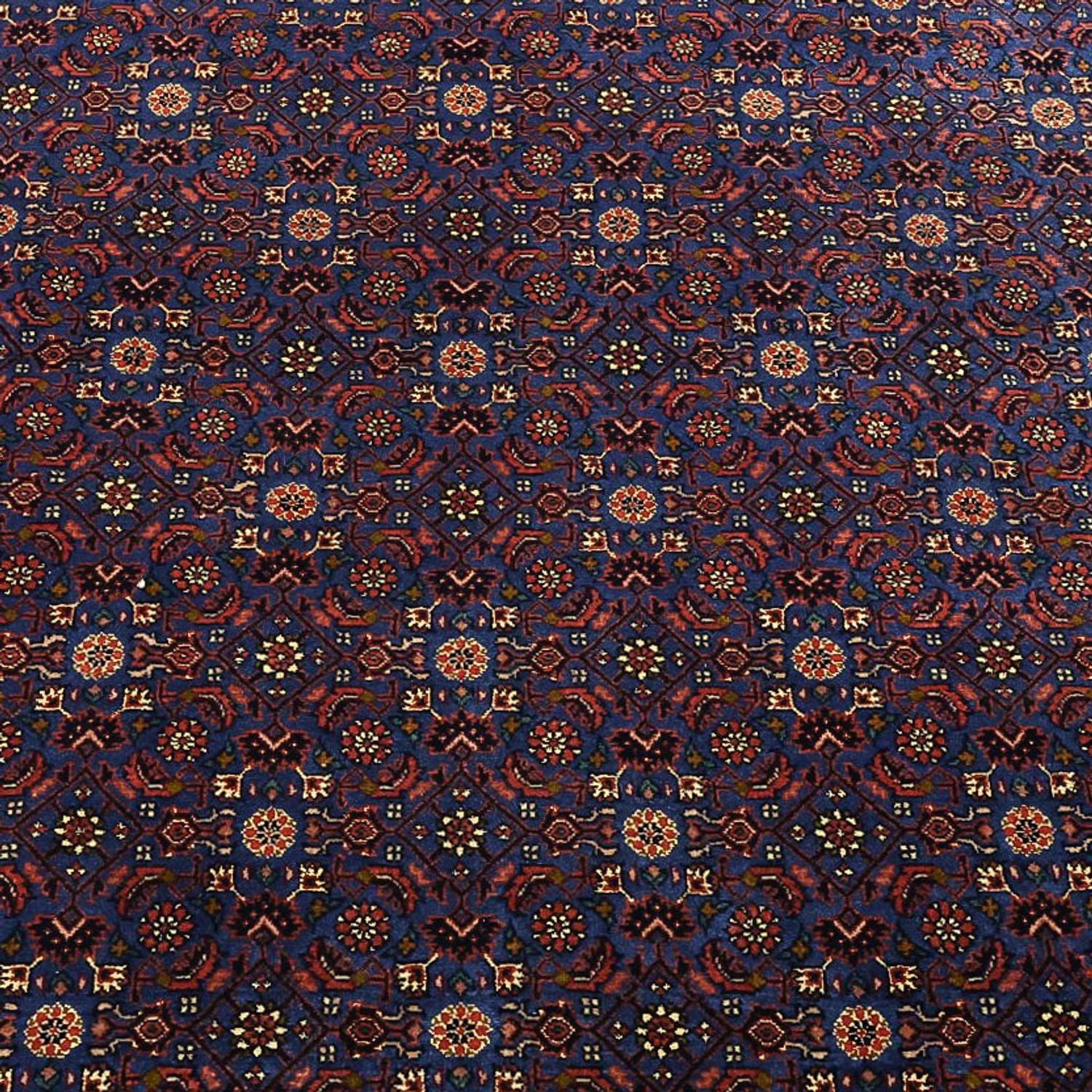 Tapis persan - Bidjar - Royal - 286 x 255 cm - bleu foncé
