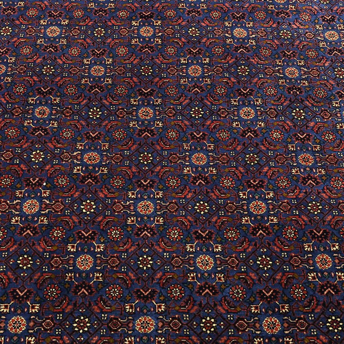 Tapis persan - Bidjar - Royal - 286 x 255 cm - bleu foncé