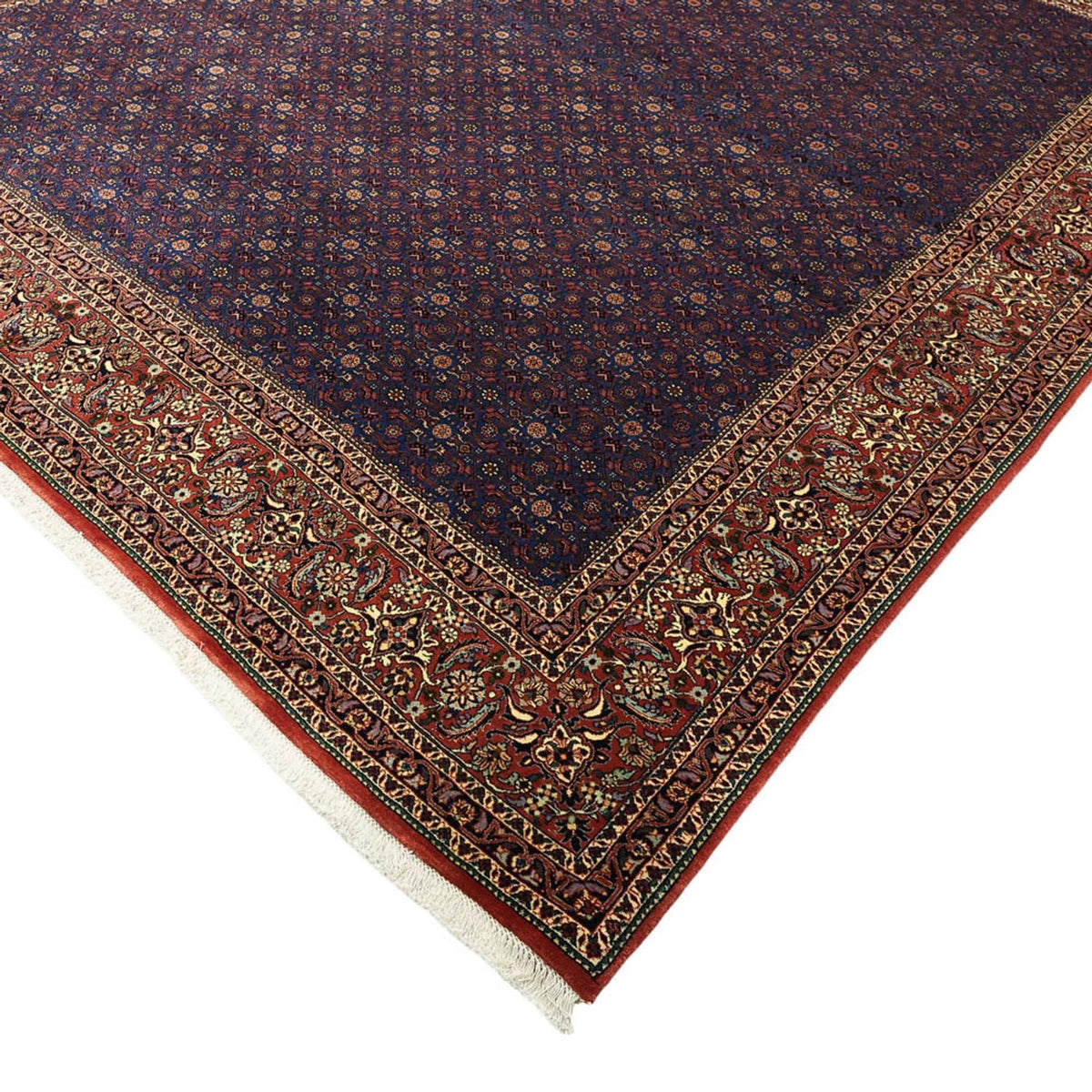 Tapis persan - Bidjar - Royal - 286 x 255 cm - bleu foncé