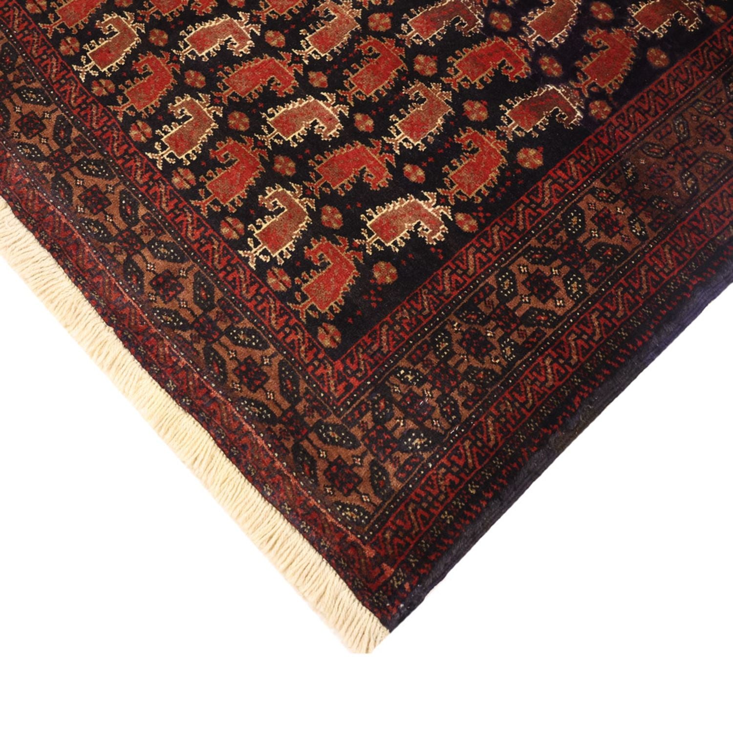 Tapis de couloir Tapis Belutsch - 212 x 102 cm - beige foncé