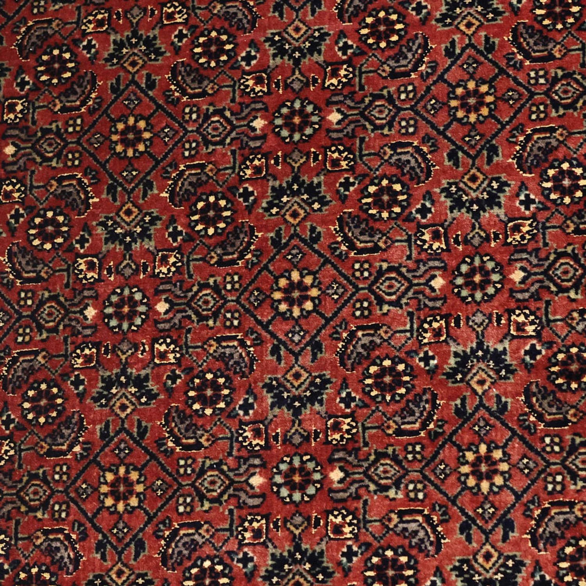 Tapis persan - Bidjar - Royal - 148 x 89 cm - rouille