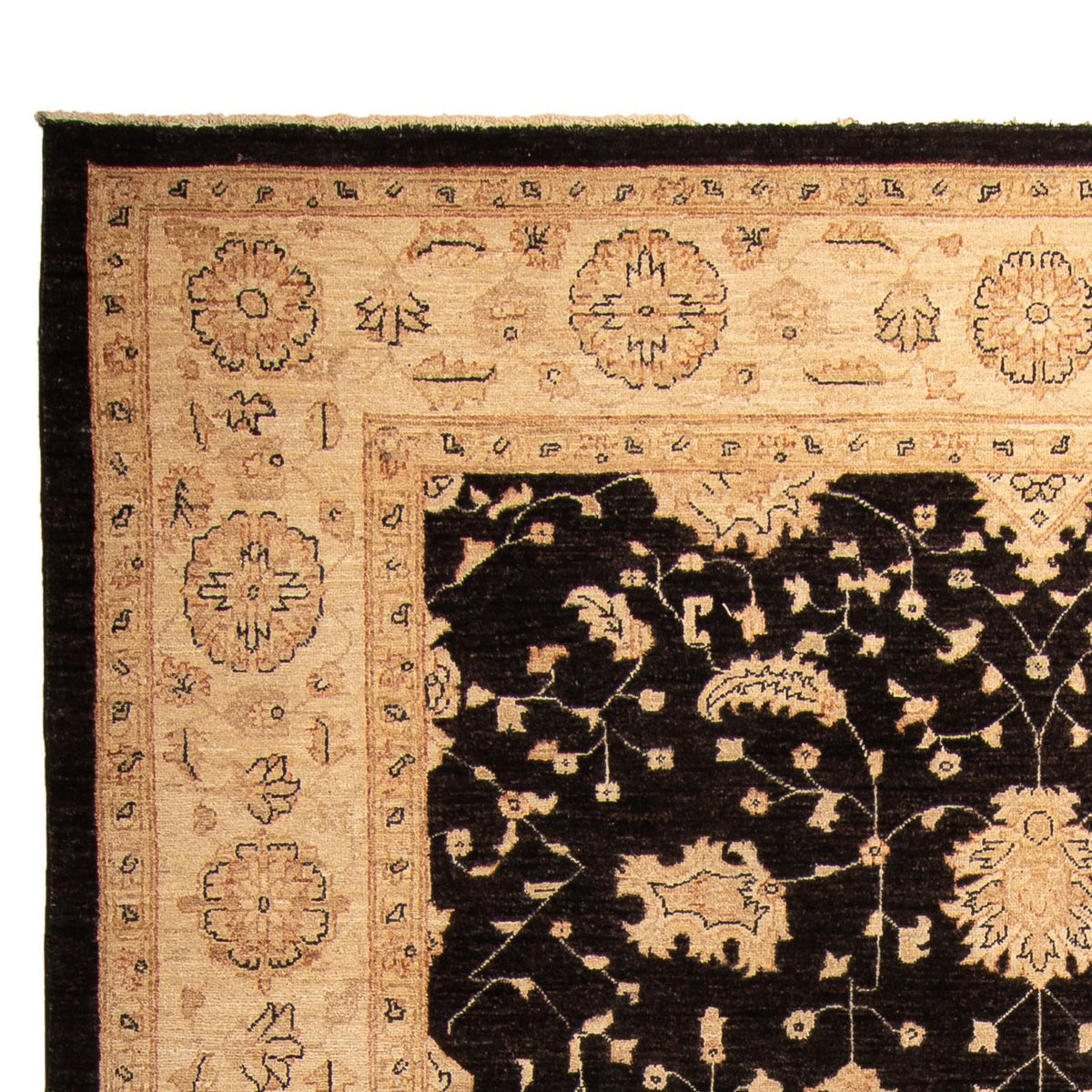 Tapis Ziegler 209x296cm - Tapis oriental