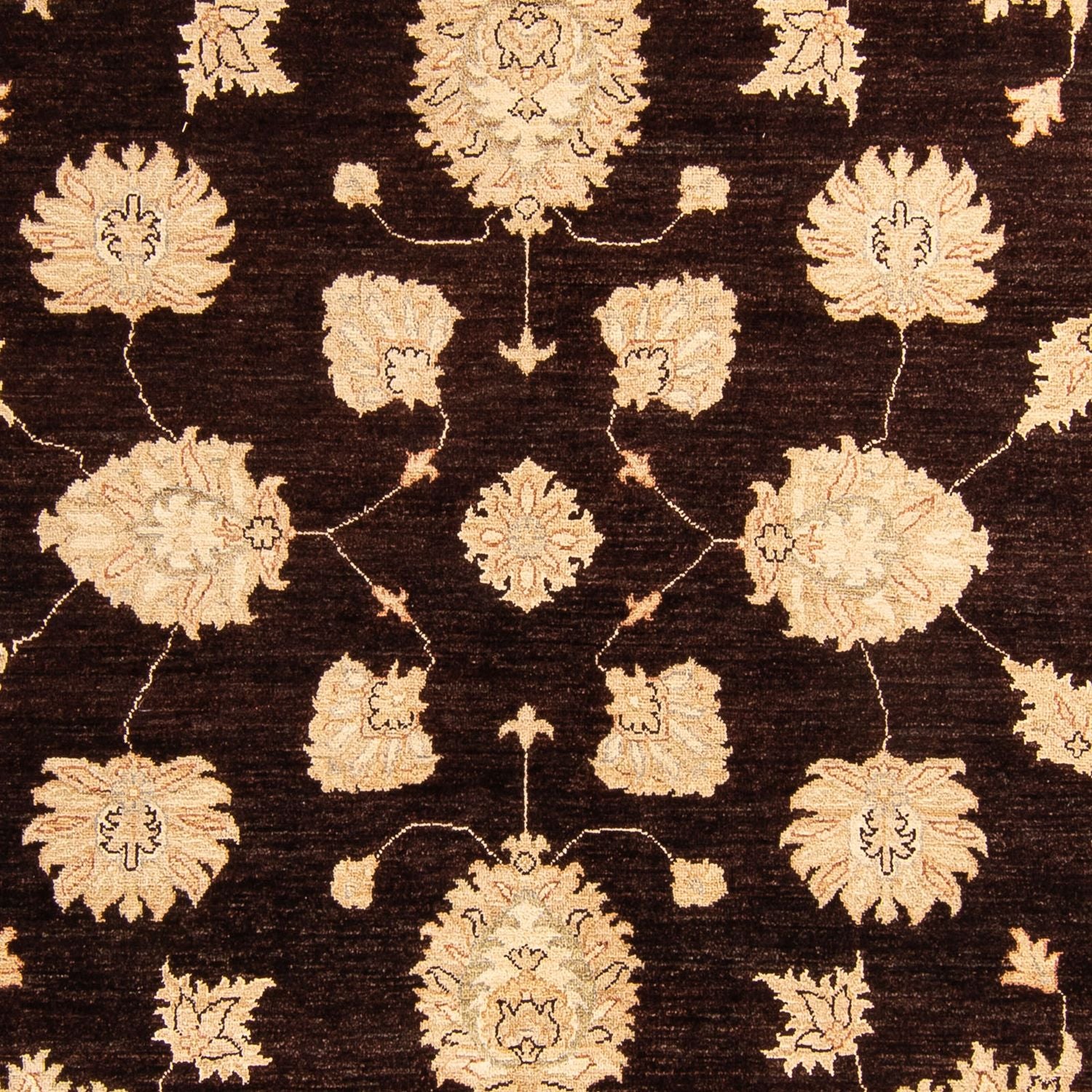 Tapis Ziegler - 288 x 207 cm - marron foncé