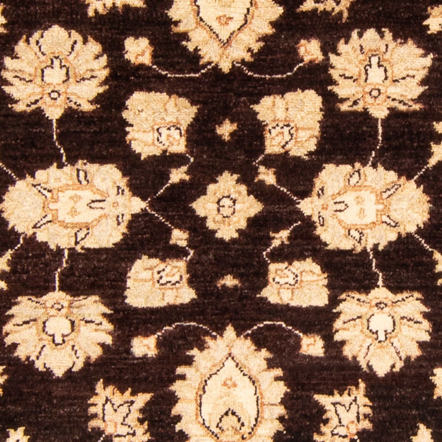 Tapis Ziegler - 166 x 118 cm - marron foncé