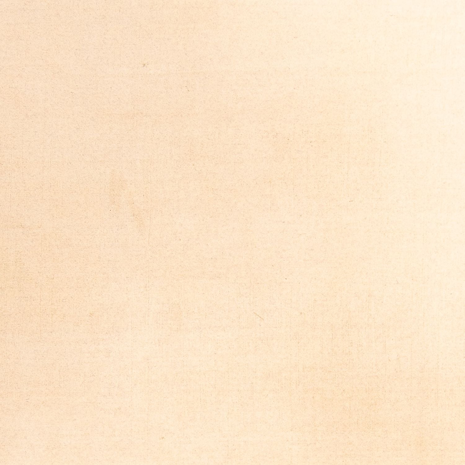 Tapis Gabbeh - Softy - 288 x 205 cm - beige